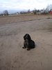 dsc02719.jpg
