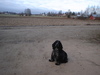 dsc02720.jpg