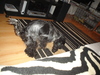 dsc02741.jpg