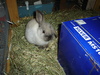 dsc02006.jpg