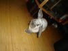 dsc02291.jpg