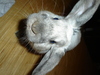 dsc02292.jpg