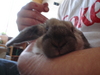 dsc02296.jpg