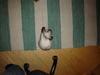 dsc02310.jpg