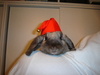 dsc02827.jpg