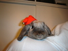 dsc02828.jpg