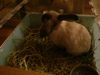 dsc02004.jpg