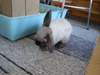 dsc02007.jpg