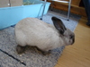 dsc02009.jpg