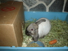 dsc02019.jpg