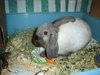 dsc02029.jpg