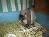 dsc02030.jpg