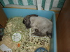 dsc02031.jpg