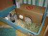 dsc02044.jpg