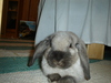 dsc02046.jpg