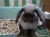 dsc02101.jpg