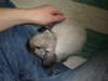 dsc02108.jpg
