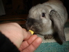 dsc02113.jpg