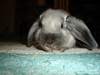 dsc02114.jpg