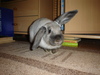 dsc02115.jpg