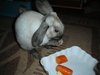 dsc02135.jpg