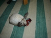 dsc02152.jpg