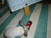 dsc02153.jpg