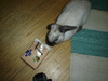 dsc02154.jpg