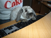 dsc02155.jpg