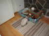 dsc02160.jpg