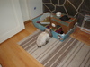dsc02161.jpg