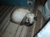 dsc02172.jpg