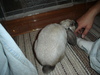 dsc02177.jpg
