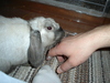 dsc02178.jpg