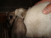 dsc02179.jpg