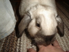 dsc02183.jpg