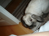 dsc02192.jpg