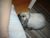 dsc02193.jpg