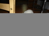 dsc02235.jpg