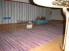 dsc02237.jpg