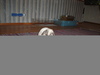 dsc02238.jpg
