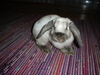 dsc02241.jpg