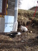 dsc02246.jpg