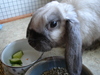 dsc02373.jpg