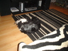 dsc02727.jpg