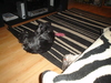dsc02728.jpg