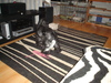 dsc02729.jpg