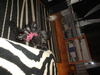 dsc02730.jpg