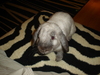 dsc02736.jpg