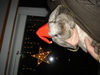 dsc02798.jpg